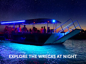 Explore the Tangalooma Wrecks at Night